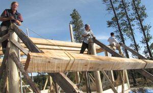 raising-joists-britta-aileen-wendy-450 (Books in Print)