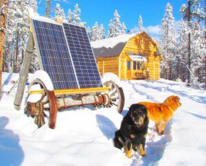 solar panels with dogs (Snowed In)