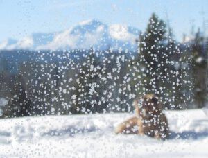 frost on woodshed window (Gorgeous Weather)
