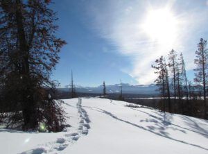 snowshoe track (Gorgeous Weather)