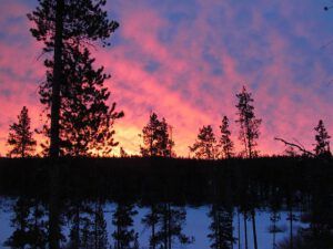 sunrise (Another Thaw)