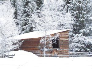 goat barn at Ginty Creek (Missed the equinox)
