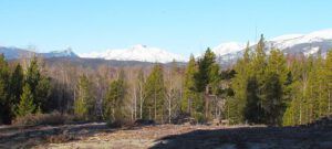 29th April 11 024 (glorious day)