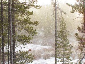 April snow (Mud Season)