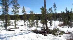 frozen pond (The Deck)