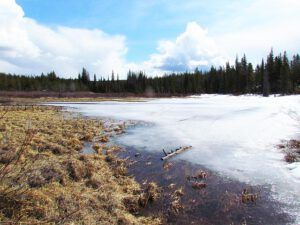 lower pond thawing (Record Temperature!)