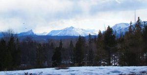 storms and geese (Mud Season)