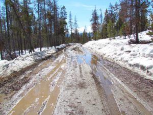 walking on road (Breakup)