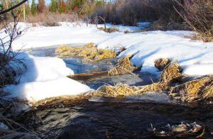 water supply (New Water Supply)
