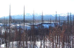 Burn near the top of The Hill (Trip to Bella Coola: Part One)