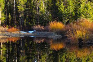 pond, evening light (A Pretty Evening)