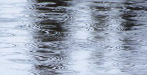 rain in ponds (Rain!)