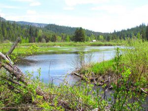 Hotnarko in flood (Cattle Drive Party Part Two)