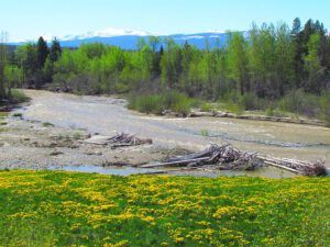 McClinchy River (Suddenly it’s Summer)