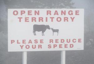 range sign (Major Shopping trip)