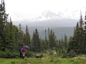 Flattop Mt (North Pass Lk 20th July 2011)