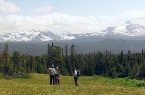 Long Meadow (Mammaries 27th July 2011 Part One)