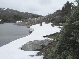 snow patch (North Pass Lk 20th July 2011)