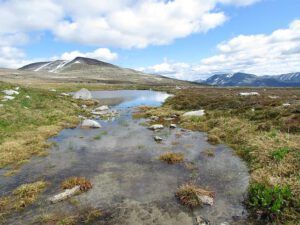 Av Lk peak (North Ridge August 15th 2011 Part Two)