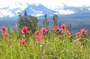 Long meadow 1 (North Ridge August 15th 2011 Part One)