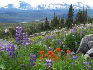 Long meadow w my lake (North Ridge August 15th 2011 Part One)