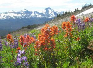 Towards Flattop (North Pass Meadows 19th August 2011 Part Three)