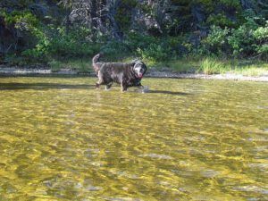back at the beach (North Pass Meadows 19th August 2011 Part Three)