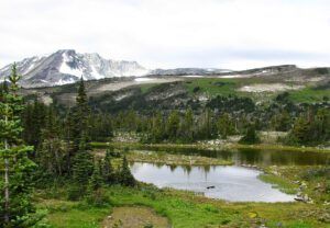 blue grouse meadows (North Pass Meadows 19 August 2011 Part One)