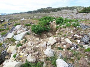 excavation (Fish Lake Trail 25th August 2011 Part Two)