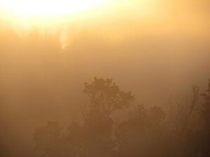 morning fog (The last big group at Nuk Tessli)