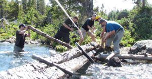 other end 4 (Octopus Lake Bridge)