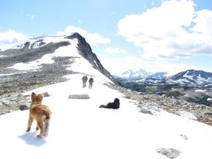 snowshoe Mountain (The Mammaries August 4th 2011, Part Two)