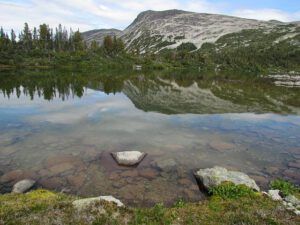 tundra pool (North Pass Meadows 19th August 2011 Part Three)