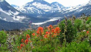 upper McClinchy (Fish Lake Trail 25th August 2011 Part Two)