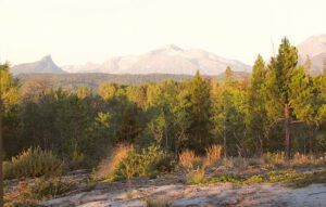 hot  morning (Heatwave at Ginty Creek)