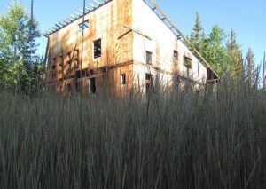 packrat palace (Back to Ginty Creek)