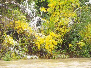 river 2 (Winter preview at Ginty Creek)