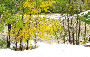 river (Winter preview at Ginty Creek)