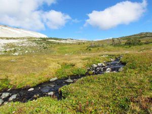 tundra creek (Mammaries 31 August 2011 part two)