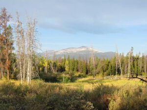 upper pond (End of summer at Ginty Creek)
