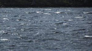 whitecaps (Nuk Tessli)