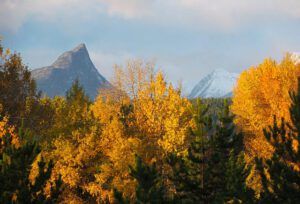 Finger peak (Outstanding fall at Ginty Creek)