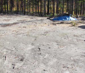 barren ground (Life Ticks Along at Ginty Creek)
