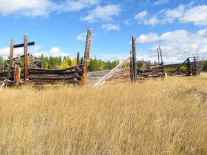 grass and gate (Life Ticks Along at Ginty Creek)
