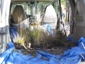 inside van (Life Ticks Along at Ginty Creek)