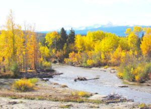 view from cabin 2 (The First Cabin at Ginty Creek.)