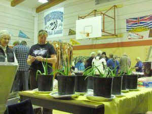 Tatla Lake gym (Tatla Lake winter craft fair.)