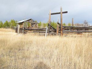 grass and barn (A gray time at Ginty Creek)
