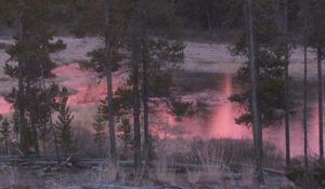 pink pond (100 Mile House Christmas craft fair coming up.)