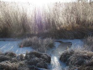 ponds freezing (Deepening frost)